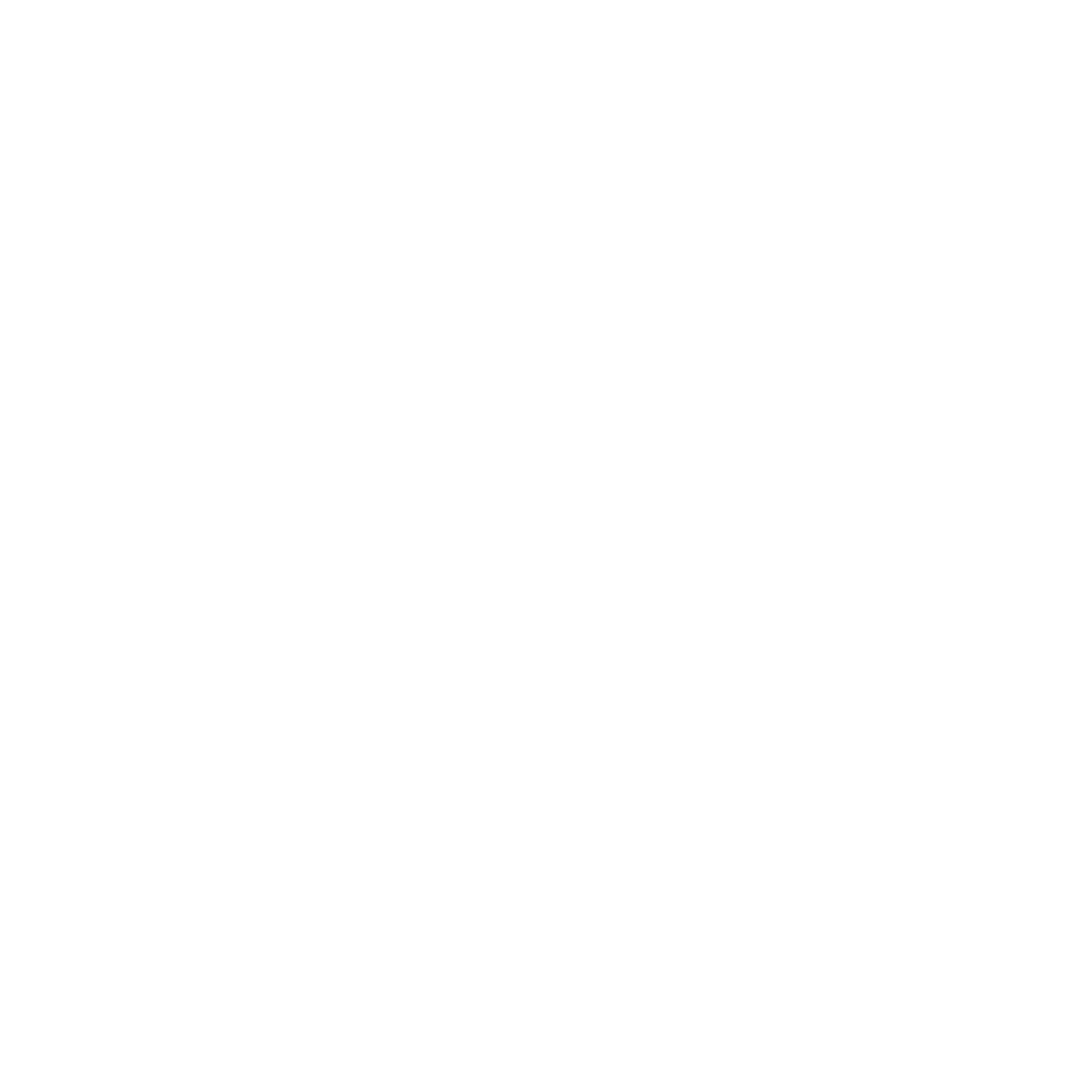 The PRO Logo Footer